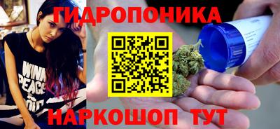 гидропоника Рузаевка